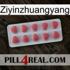 Ziyinzhuangyang 18